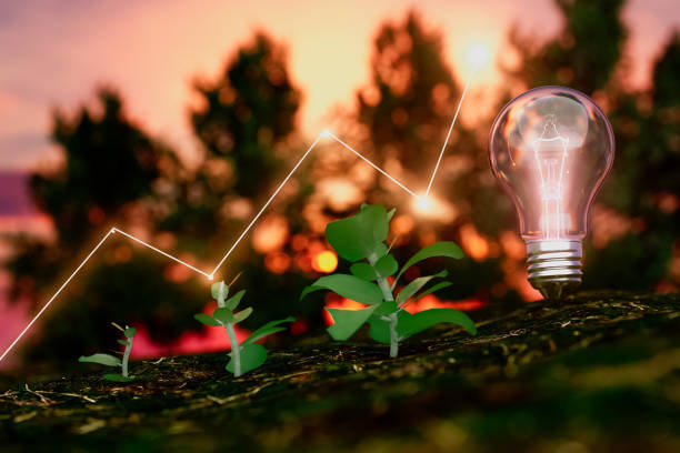 istock A light bulb is lit up in front of a tree 2203255852