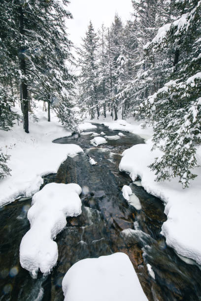 istock Serene snowy winter setting of river lined with snow covered trees 2203261534