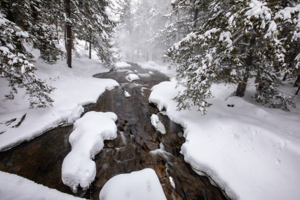 istock Serene snowy winter setting of river lined with snow covered trees 2203261576