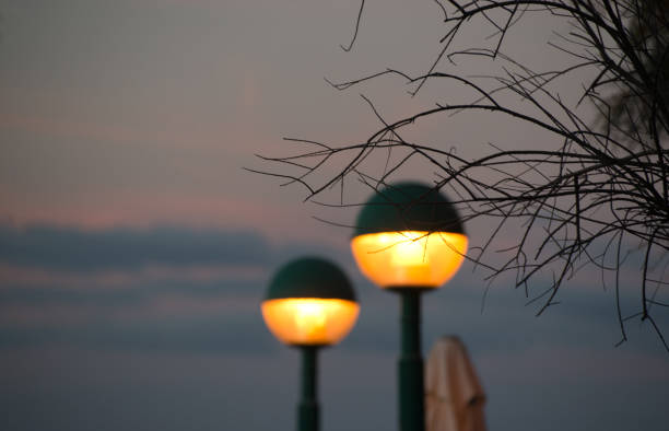 Tree branches against the background of yellow evening lanterns