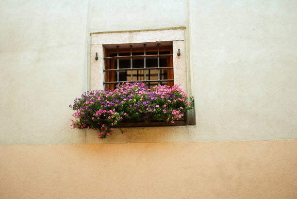 Window  of the Old Italian House, Instagram Effect
