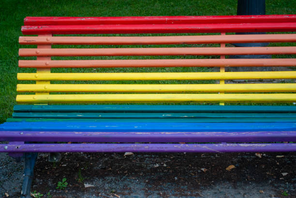 istock Rainbow colored wooden bench celebrating diversity and inclusion 2203270549