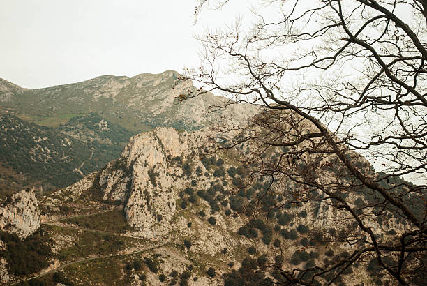 Serene autumn landscape showcasing the beauty of nature with bare tree branches framing a majestic mountain view