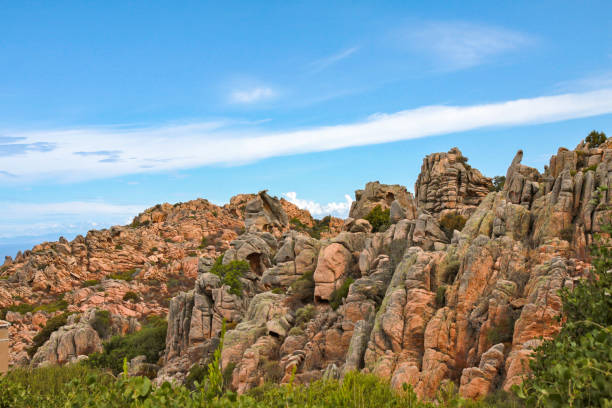 Scenic Sardinia coast with dramatic rocks, vibrant greenery, and shimmering blue waters, offering a spectacular natural Mediterranean seascape.