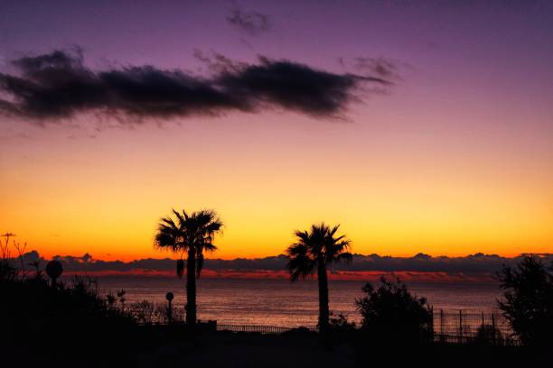 istock two palm trees sunset by the sea 2203277227