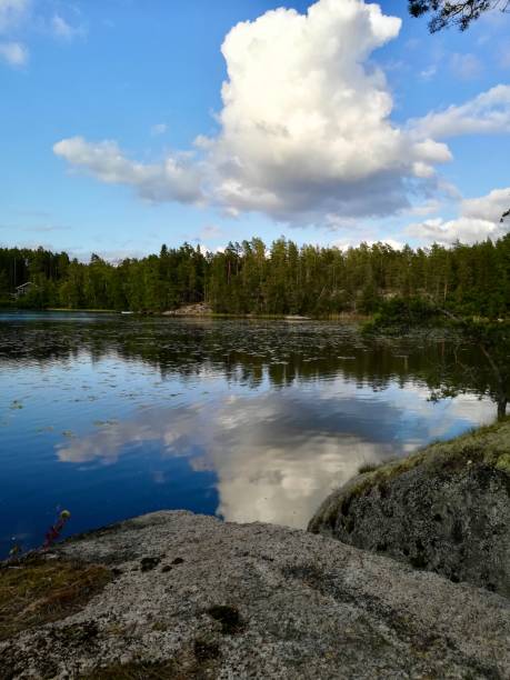 istock Summer landscape of the lake shore 2203278236