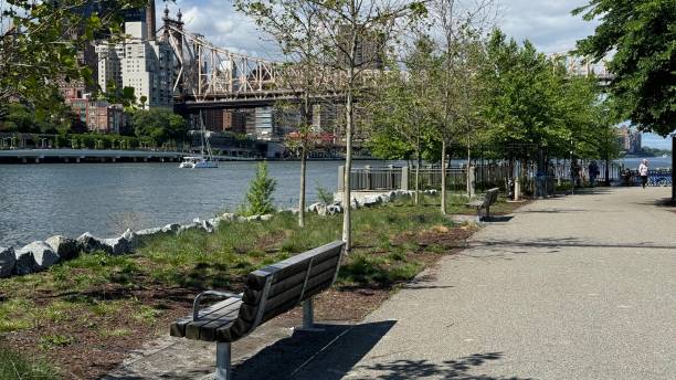 istock Roosevelt Island New York 2203279453