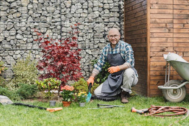 istock Portrait of gardener worker looking at camera 2203280268