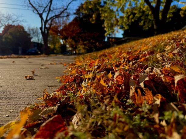 istock Fall day and fallen leaves in the midwest 2203283625