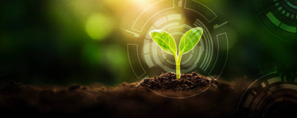 istock Young Sprout Agricultural Technologies Banner 2203284998