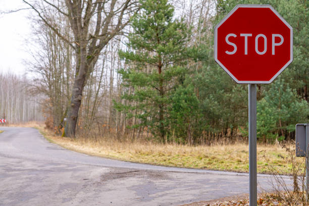 istock stop sign at the intersection of forest roads. 2203290872
