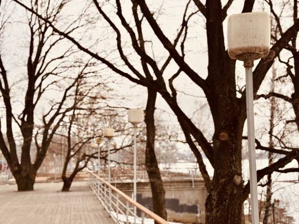 A serene winter scene with a peaceful walkway lined by bare trees and street lamps, evoking calm and stillness. A peaceful and serene winter walkway adorned with leafless trees and glowing lanterns.