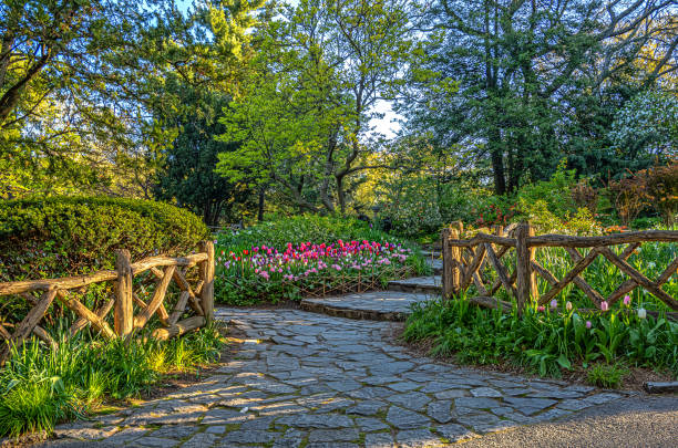 istock Central Park in spring,Shakespeare Garden 2203294506
