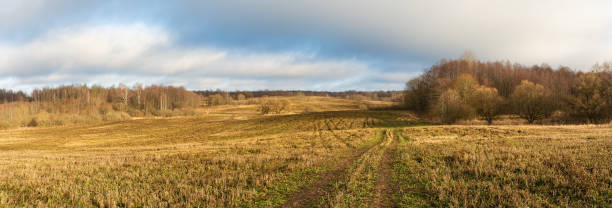 istock A serene landscape of a grassy field, bordered by trees in early spring hues, under a cloudy sky. The winding path invites exploration, embodying tranquility and natural beauty. 2203295501