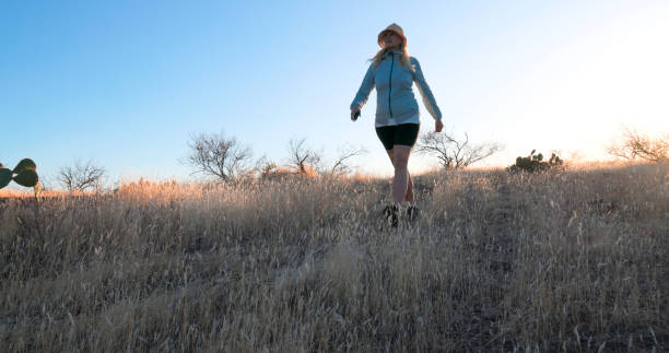 Mature woman hikes between cacti in desert landscape at sunset, Tonto Basin, rear view, AZ