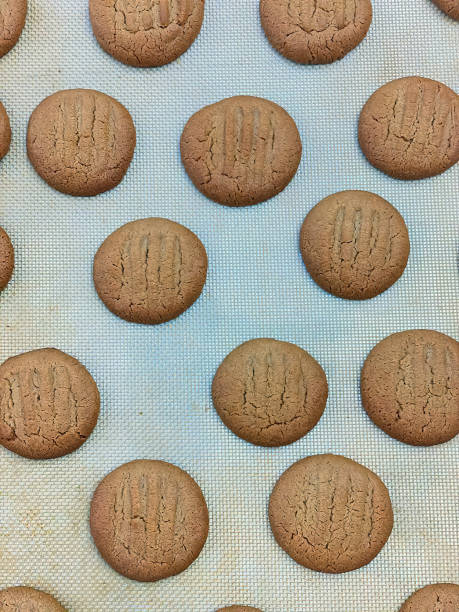 istock Freshly Baked Peanut Butter Cookies 2203308704