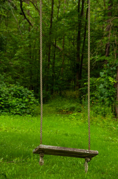 istock Rope Swing Hanging From a Tree with a Forest in the Background 2203309037