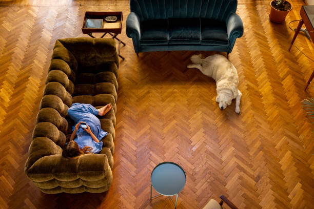 istock Cozy Home Moment from Above 2203309183