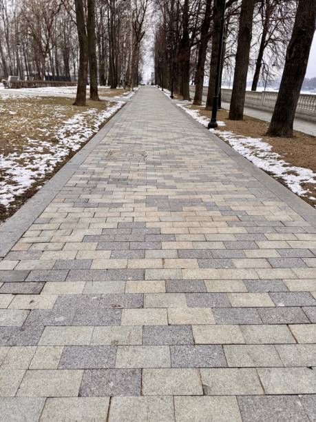 istock Peaceful and tranquil walkway gracefully lined with majestic trees, showcasing a serene winter landscape. A Beautiful Scenic Pathway That Is Beautifully Surrounded by Tall Trees on a Crisp Winter Day 2203310020
