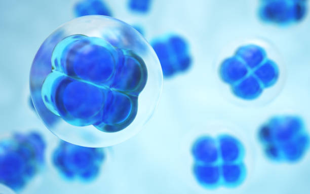istock Human Cell Embryonic Stem Cell, Depth Of Field 2203313731