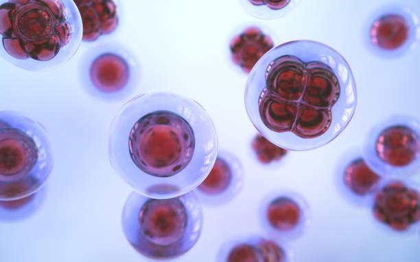 istock Human Cell Embryonic Stem Cell, Depth Of Field 2203313872