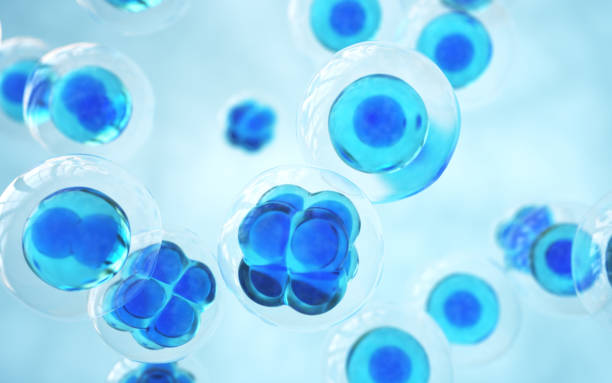 istock Human Cell Embryonic Stem Cell, Depth Of Field 2203313905