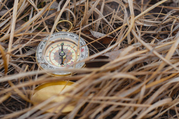 istock Gold compass is placed in dry grass, showcasing a navigation tool and outdoor adventure. 2203314731