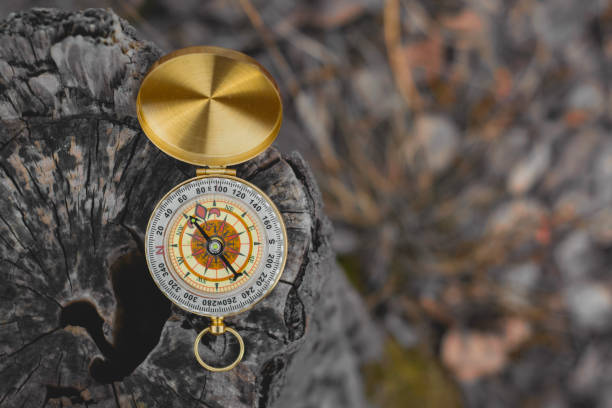 istock A gold compass is placed on a tree stump, showcasing a navigation tool and outdoor adventure. 2203314737