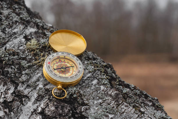 istock Compass hanging on birch tree. Navigation tool for outdoor adventure and travel direction. 2203314742
