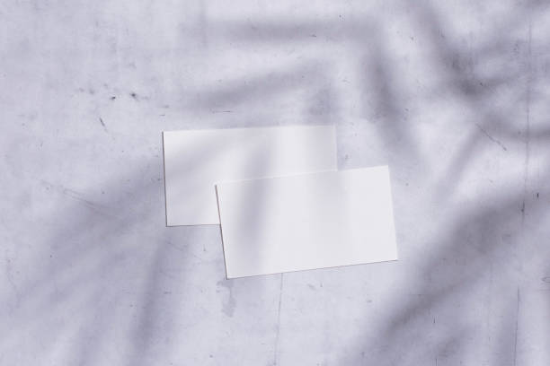 istock Empty two business cards mockup on marble background with natural palm shadows. Card for branding view from the top. 2203314939