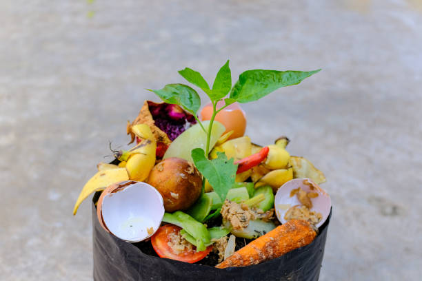 istock Vegetable peelings and food leftovers ready to compost. 2203317934