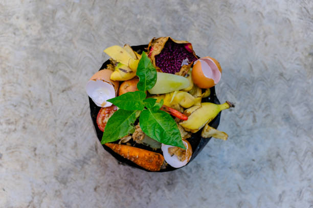 istock Vegetable peelings and food leftovers ready to compost. 2203317935