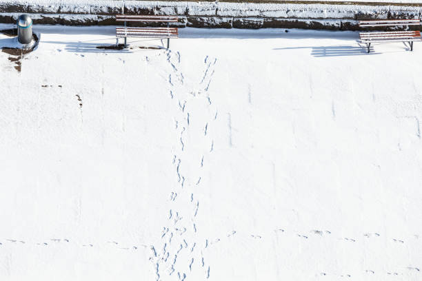 aerial of footsteps in white snow