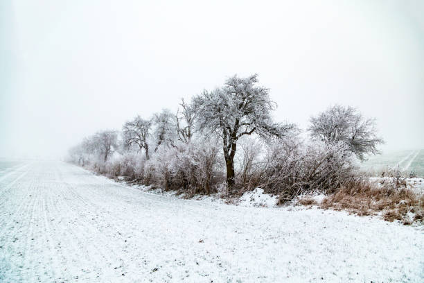 A cold morning with the first snowlayer of the season.