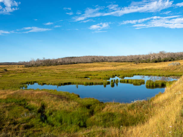 istock Early morning light reflection on a high country lake 2203324440