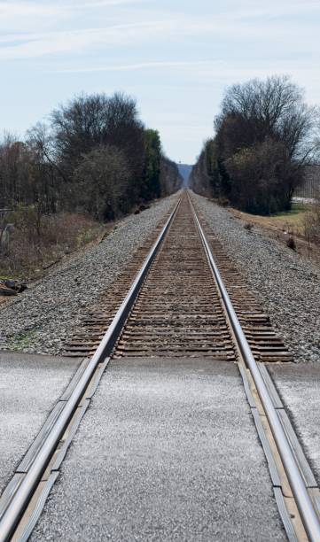 Railroad tracks converging at a crossing