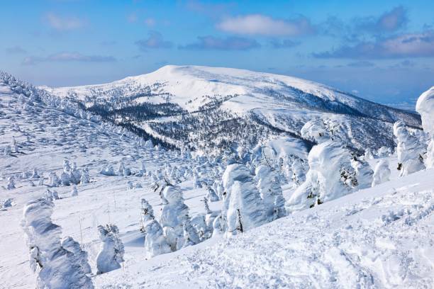 istock Ice-covered trees on snow-capped Mt. Hakkoda in Japan 2203326338