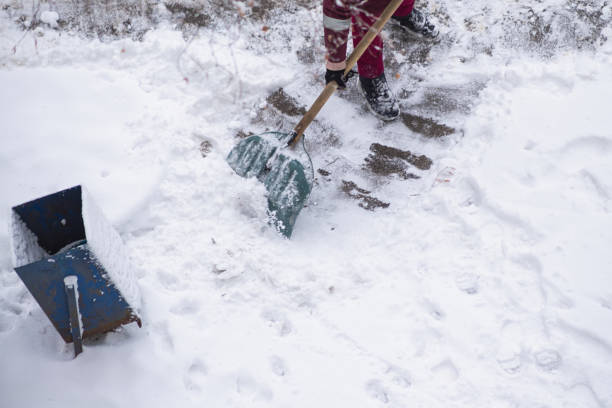 istock Snow removal in the park: a worker with a shovel clears a path between trees. Snow removal in a winter city, street cleaning in the park. 2203331617