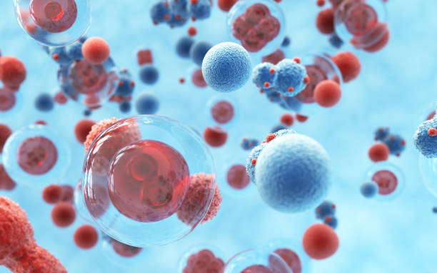 istock Human Cell Embryonic Stem Cell, Depth Of Field 2203338186