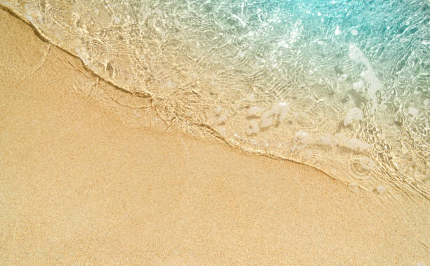 istock beautiful sand beach, closeup, topview 2203339431