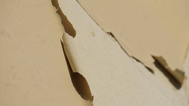 istock The cream colored wall paint started to peel due to extreme weather 2203341136