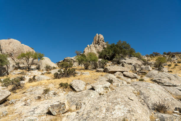 istock A rocky hillside with a few trees and a clear blue sky 2203343830