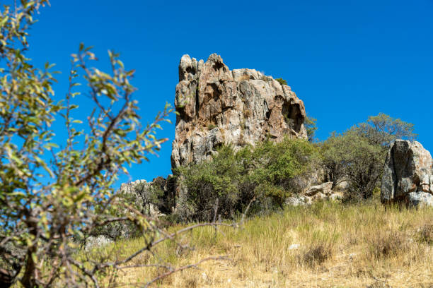 A large rock sits on a hillside with a tree in the foreground in Kashkadarya, Qashqadaryo Region, Uzbekistan