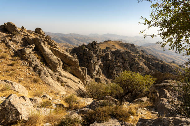 istock A rocky mountain top with a tree in the foreground 2203343854