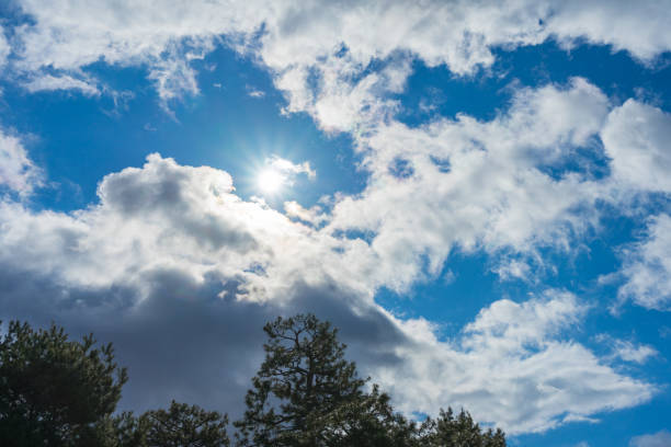 Backlit of winter forest against blue sky with white clouds frame and lens flare.