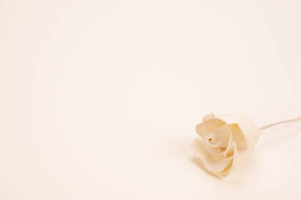 Natural decoration with flower and orange stones