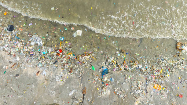 istock Top view trash, plastic cups and plastic bags at the beach. environmental problem concept and healing the world 2203351657