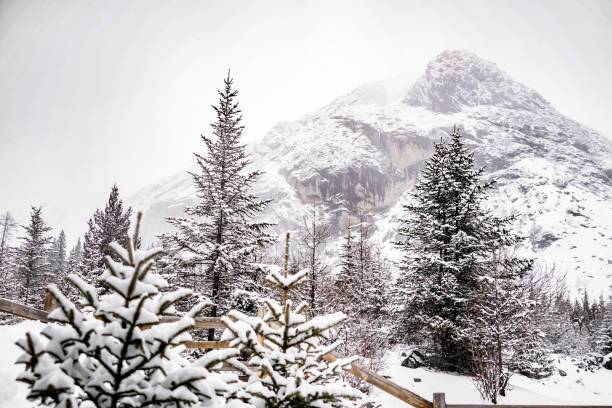 the atmosphere of the snow mountain with dramatic tone