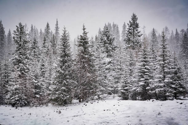 istock the atmosphere of the snow mountain with dramatic tone 2203352096