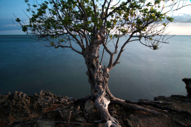 istock Topejawa beach at Takalar Indonesia 2203354865